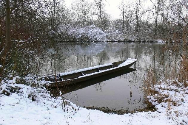 Winter im Auwald 05 014.jpg - Winter im Naturschutzgebiet Taubergießen beim Europa-Park Rust